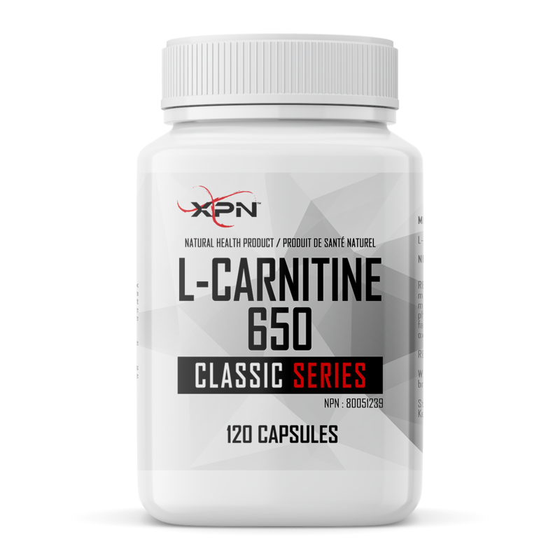 L-Carnitine 650 - XPN World