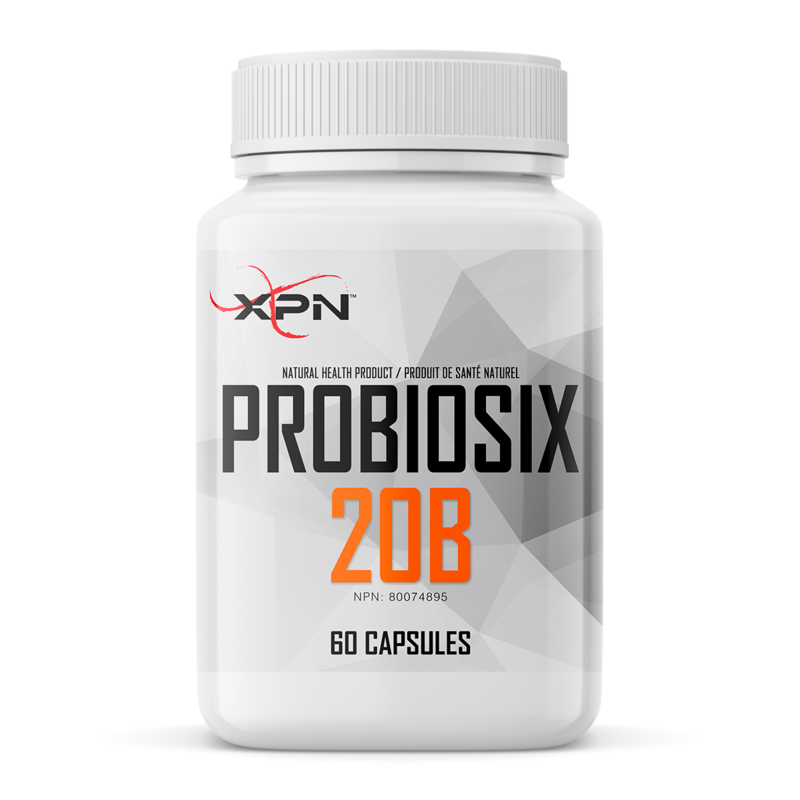 Probiosix 20B - XPN World